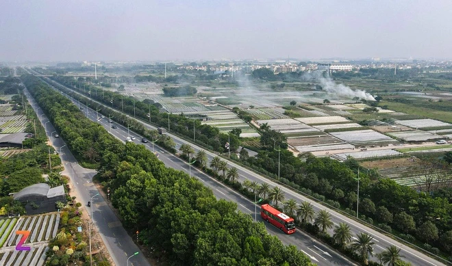 Dự Đoán Tương Lai Của Thị Trường