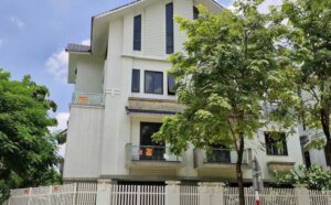 Tổng quan về sự tăng trưởng giá